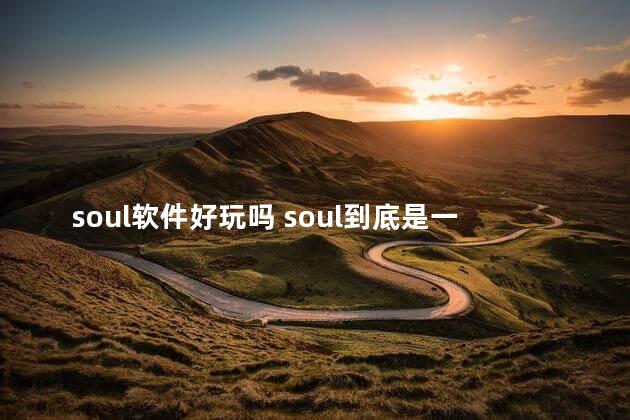 soul软件好玩吗 soul到底是一个什么样的软件